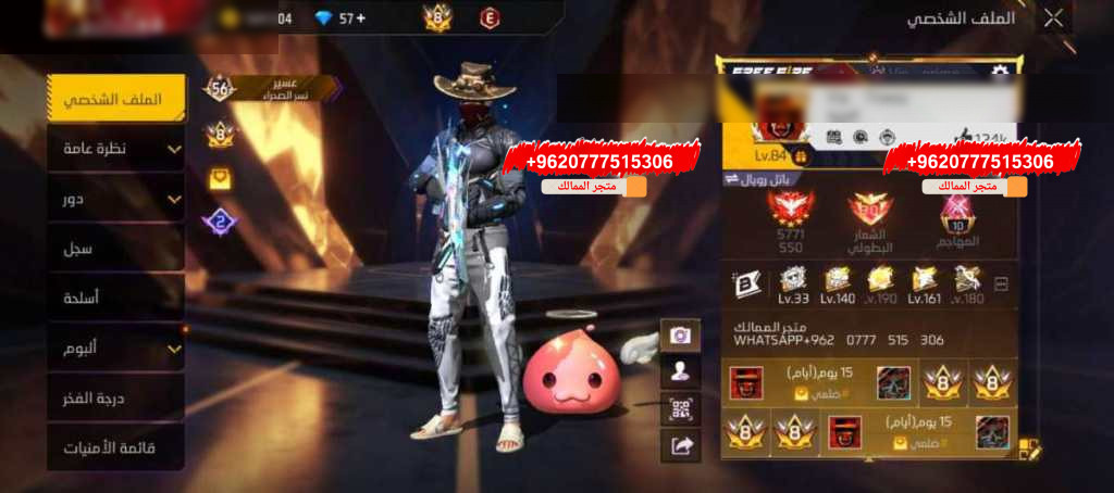 فاير باس سابع لليوم