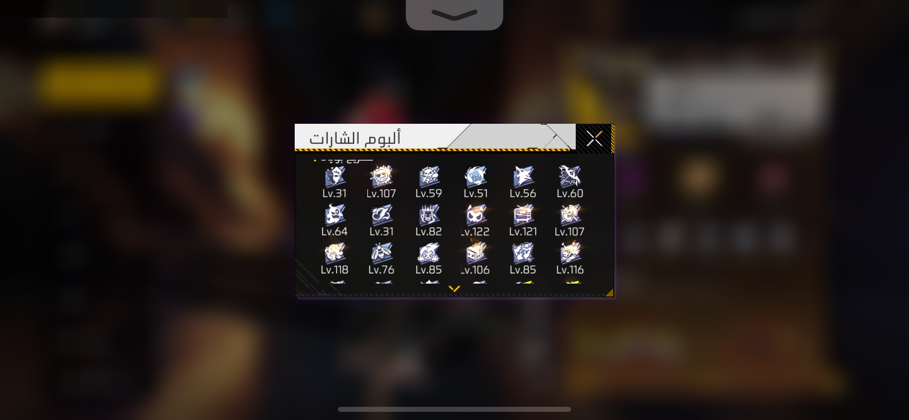 صورة 11