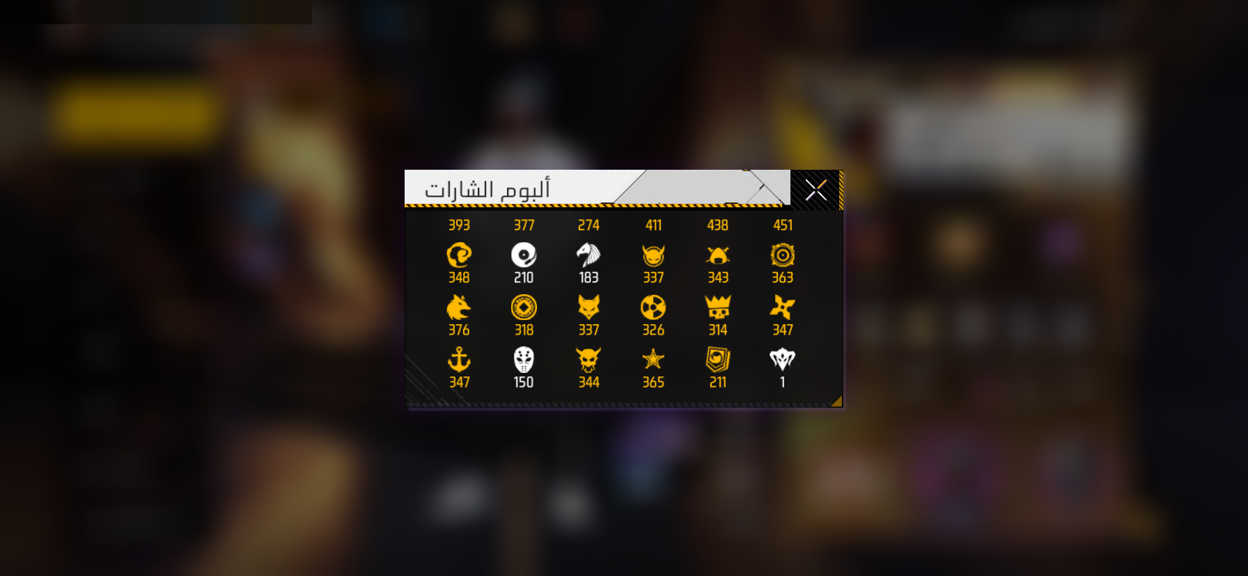 صورة 11