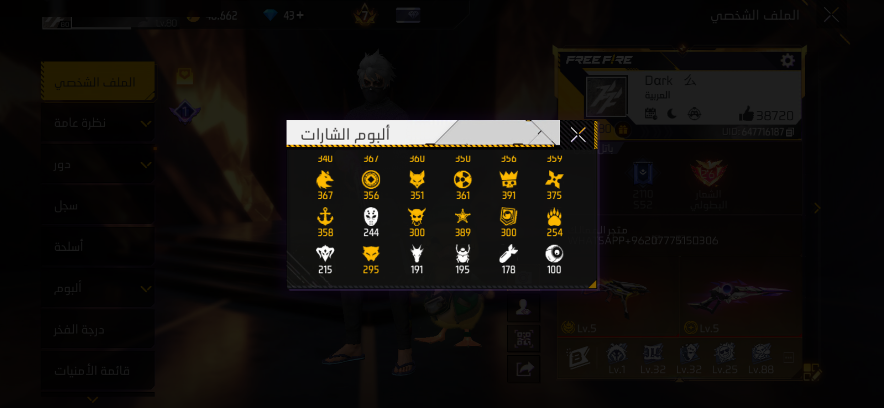 صورة 11