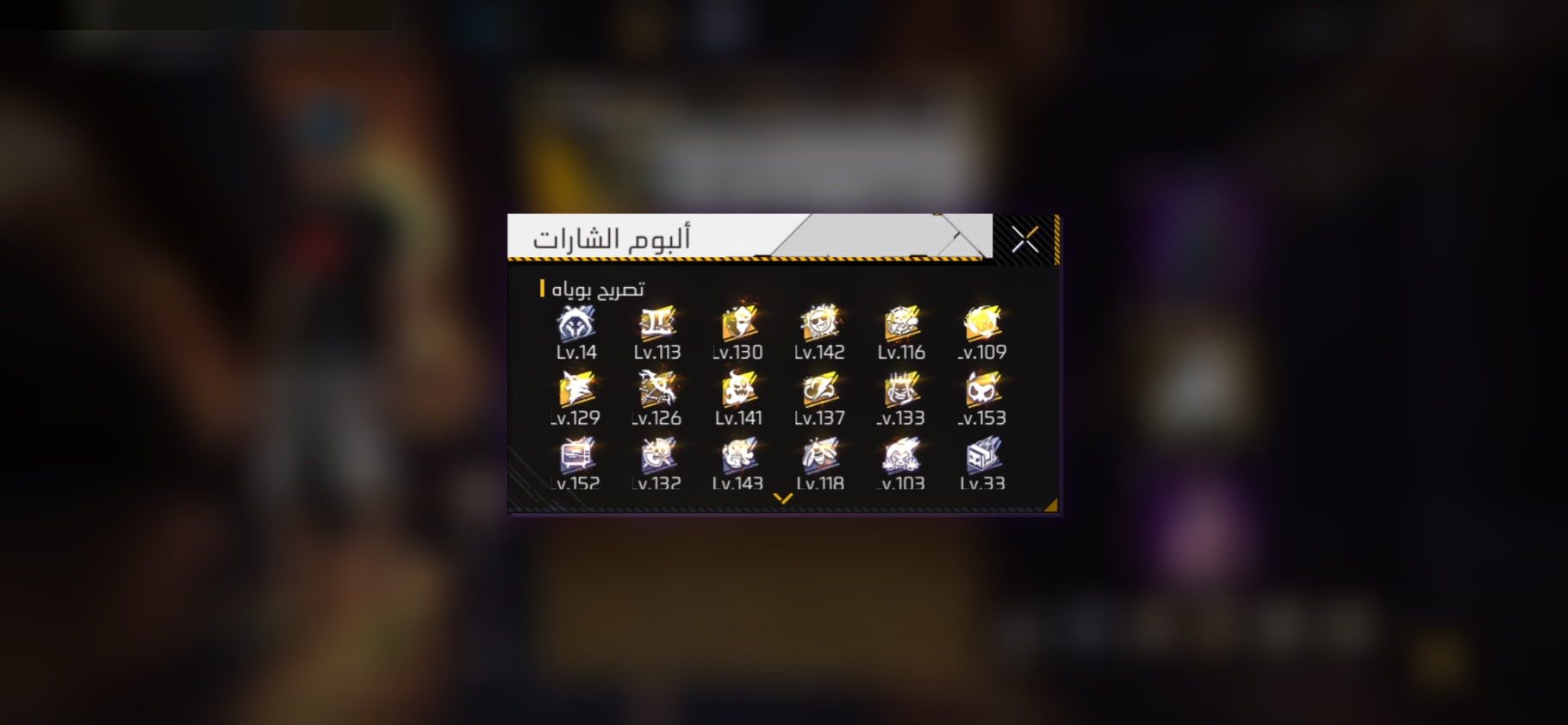 صورة 11