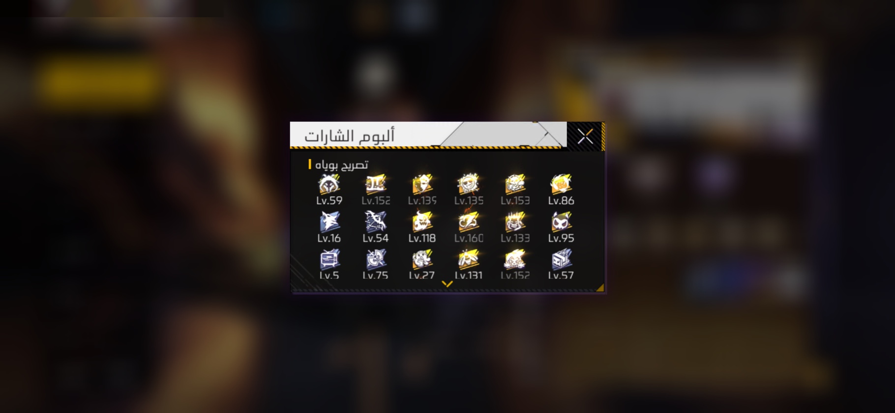 صورة 11