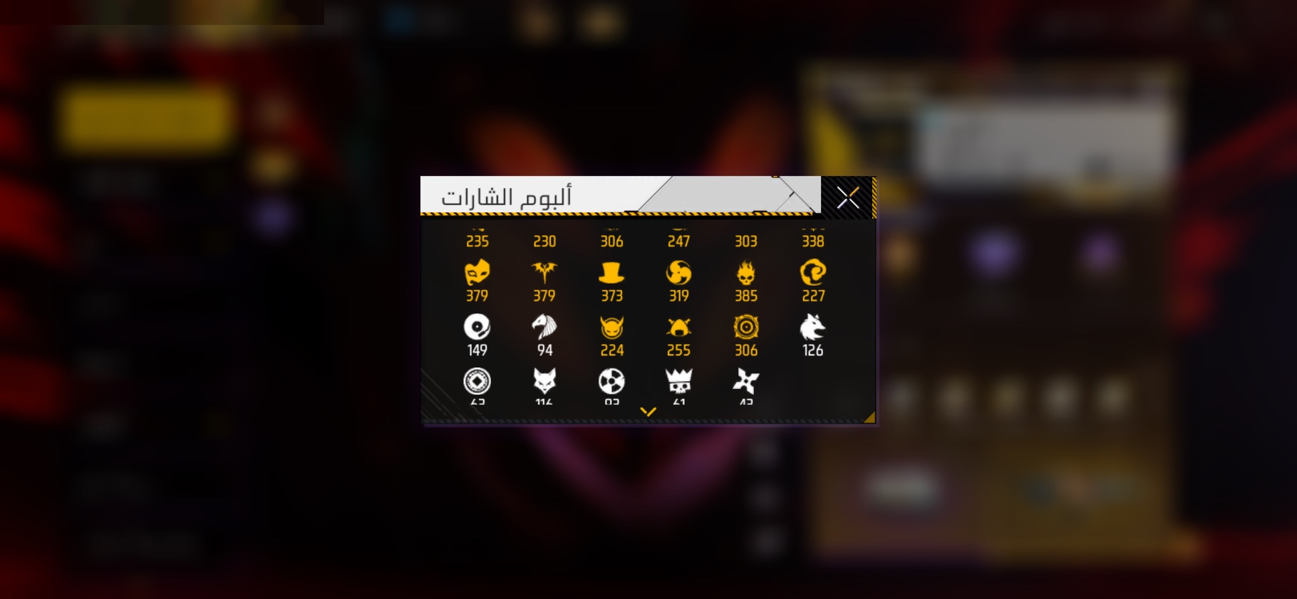صورة 11