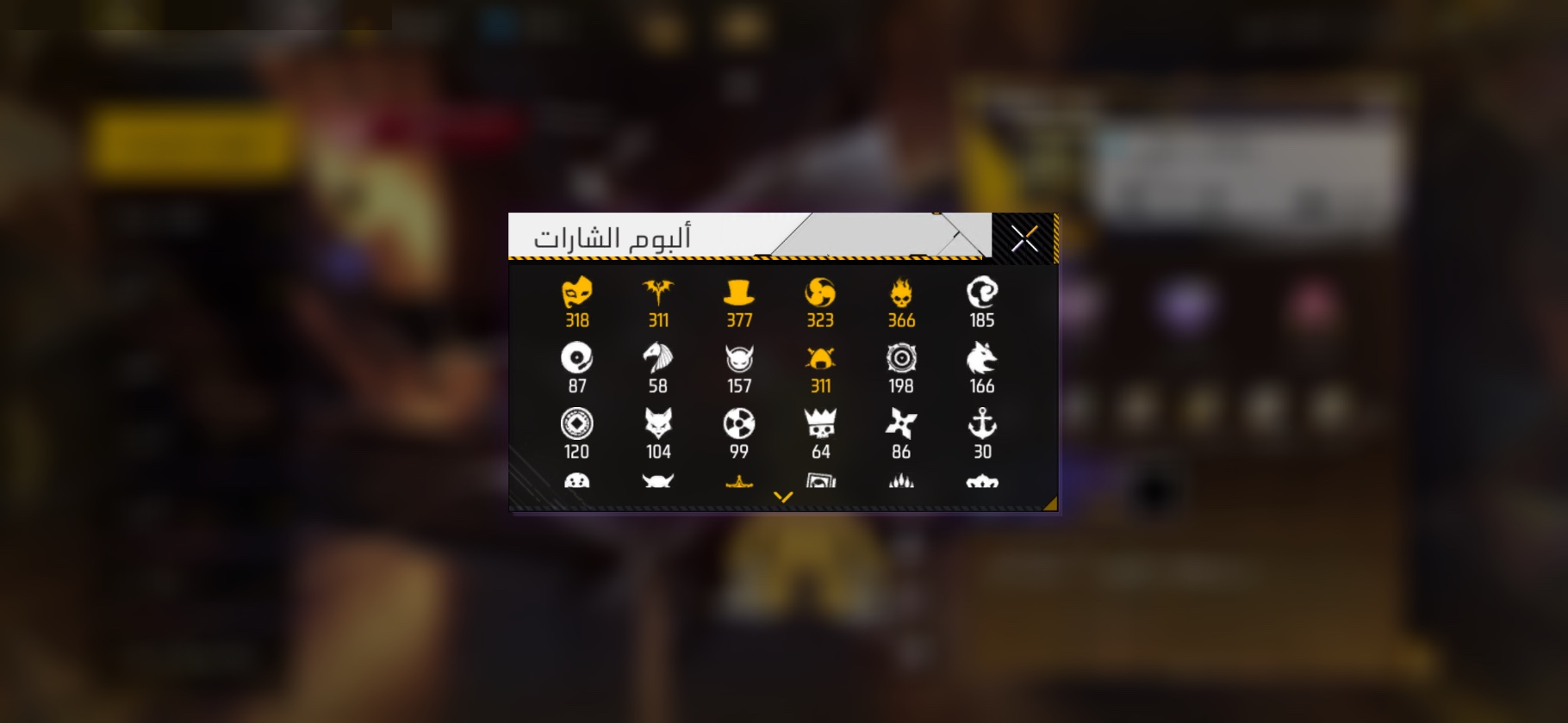 صورة 11