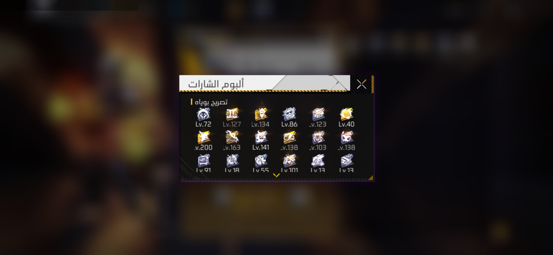 صورة 11