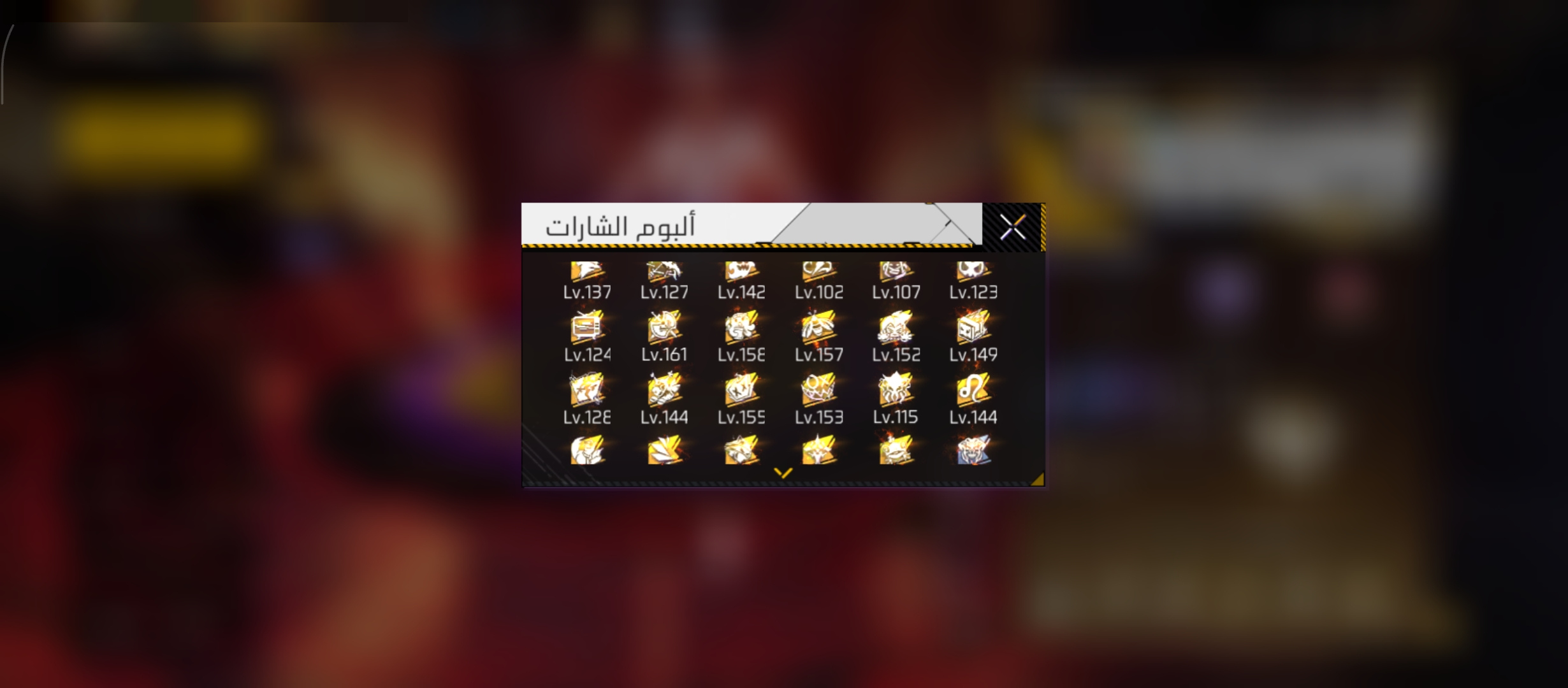 صورة 11