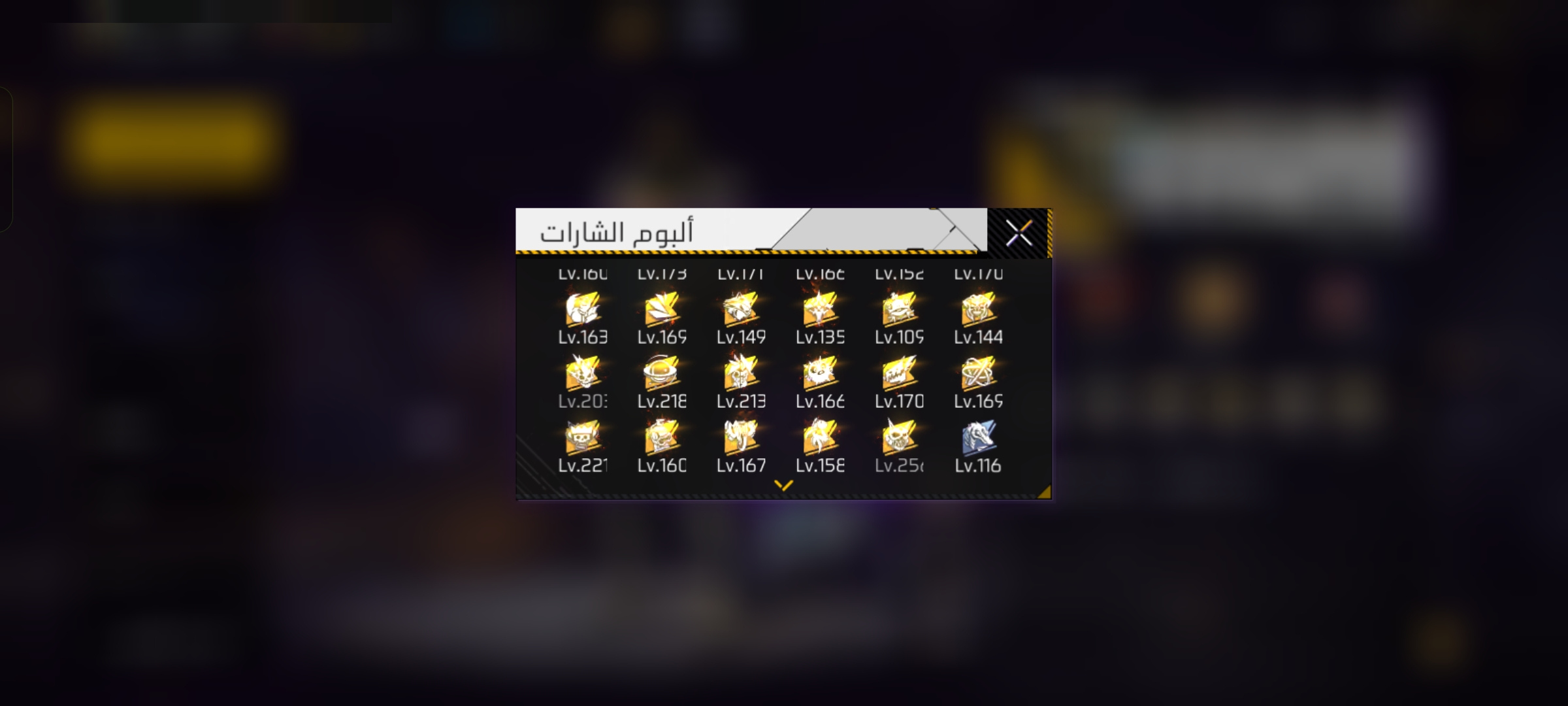 صورة 11