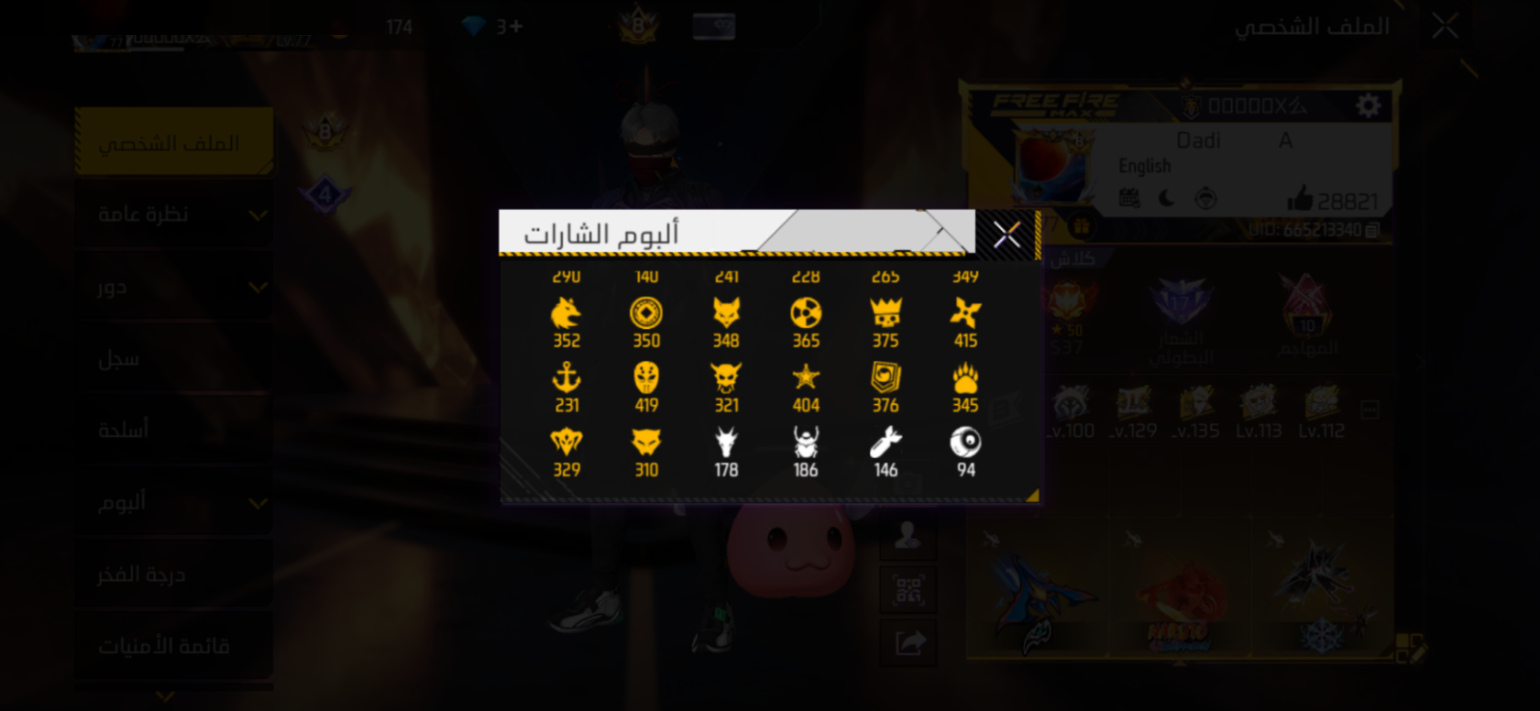 صورة 11